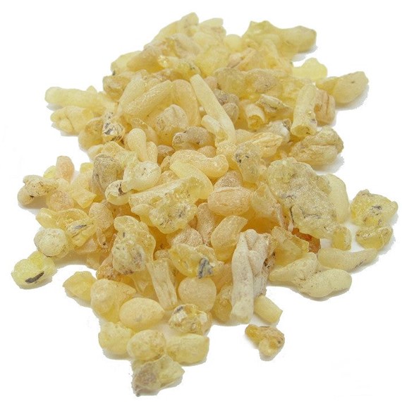 Sandaloz sakızı 100 gr