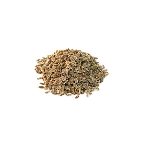 Dereotu Tohumu 100 gr