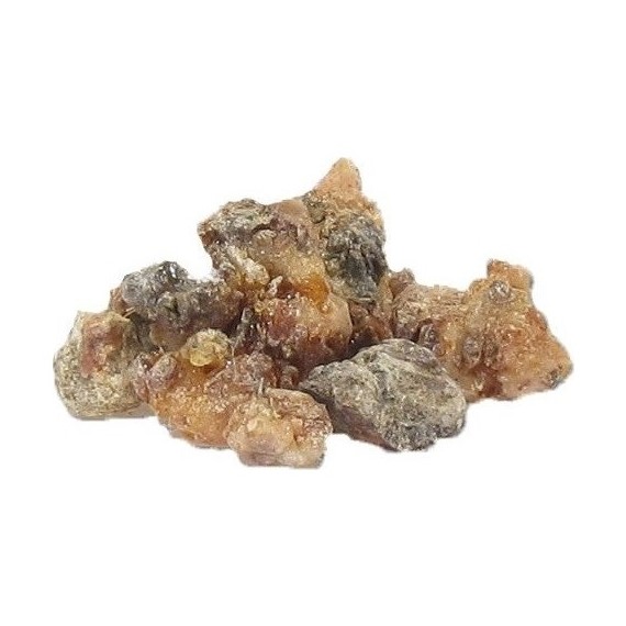 Çam Sakızı 100 Gr