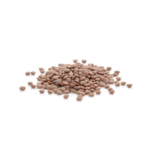 Siyah mercimek 1 kg