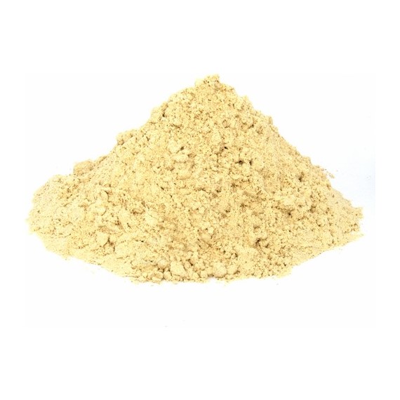 Toz Zencefil 100 gr