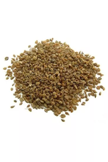 Kereviz Tohumu 100 gr
