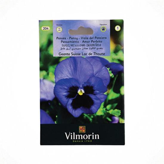 Vilmorin Hercai Menekşe Bordo Alacalı
