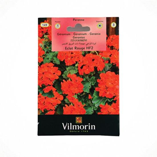 Vilmorin Pegonyum Bitki Tohumu