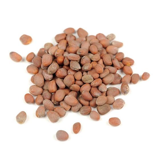 Turp Tohumu 100 gr