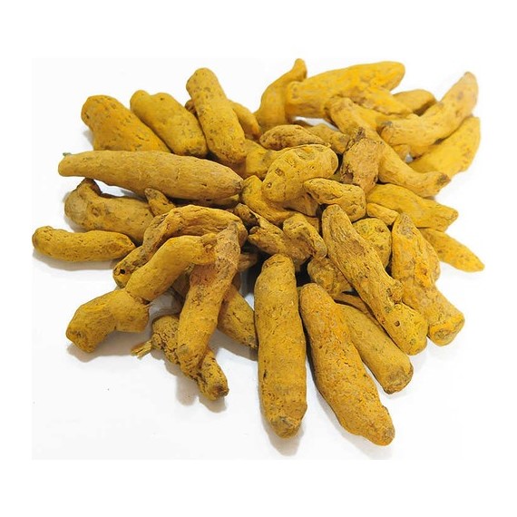 Zerdeçal kök 100 gr