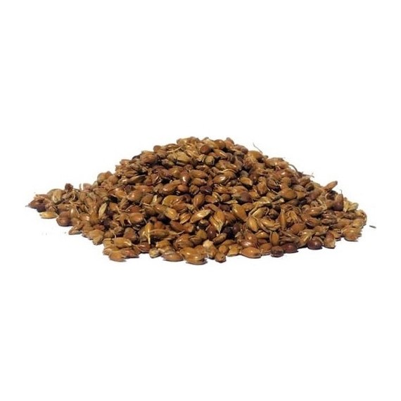 Süpürge Otu Tohumu 100 gr