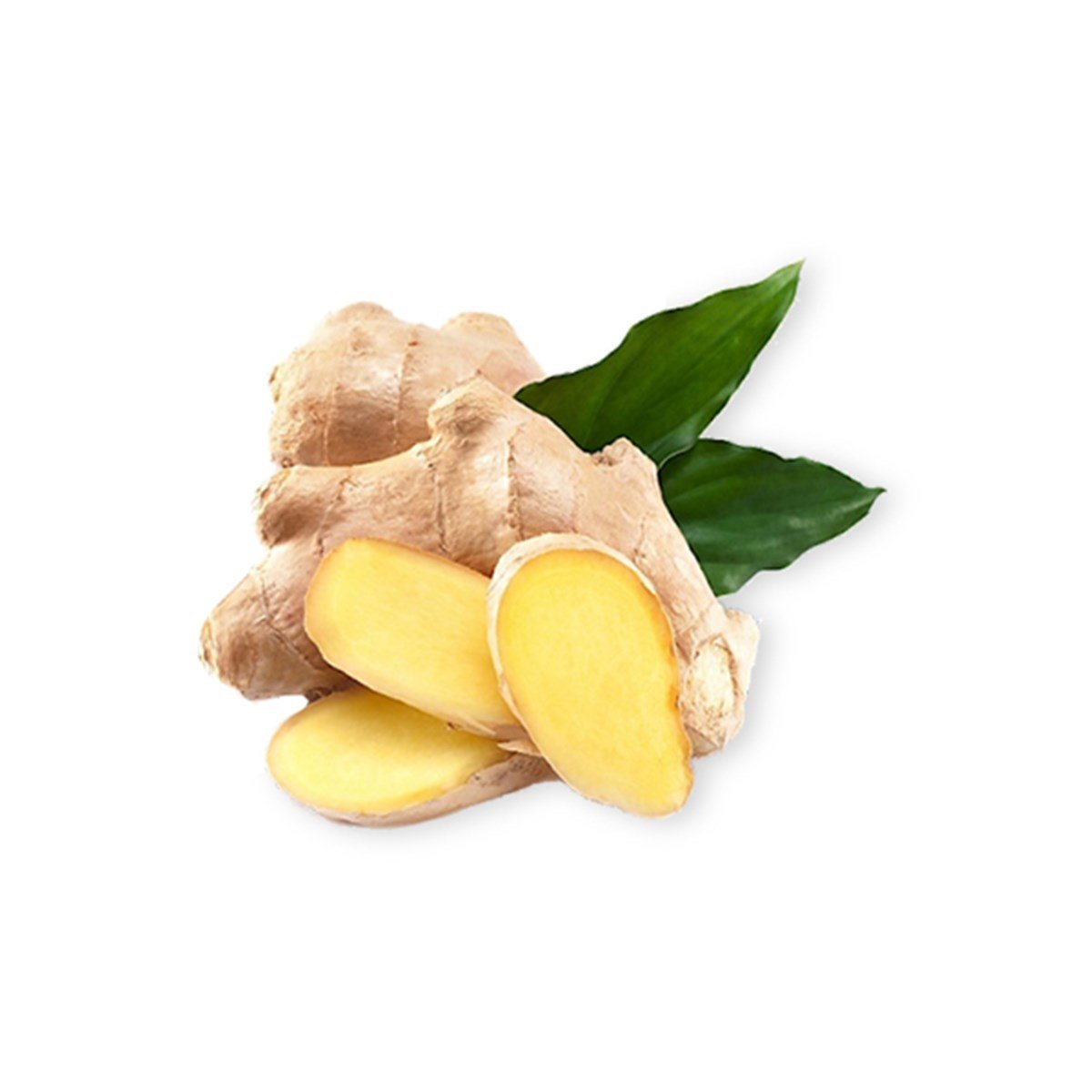 Taze%20yaş%20zencefil%201%20kg