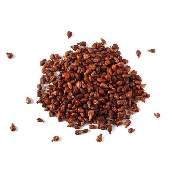 Siyah Üzüm Çekirdeği 100 gr